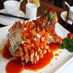 小廚娘淮揚菜加盟條件、費用及聯系方式詳解